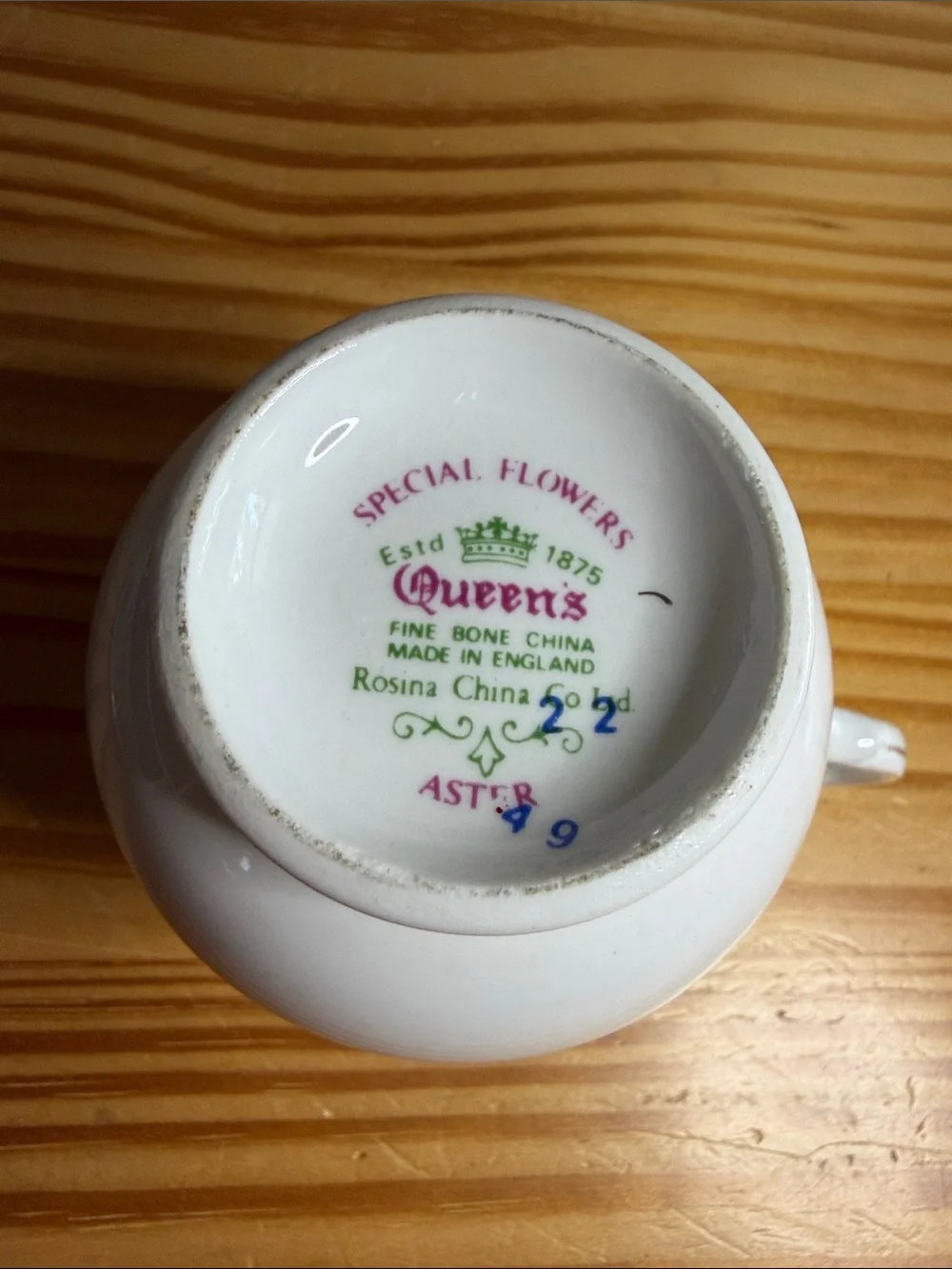 Vintage Queens Bone China September Aster Teacup & Saucer Set England